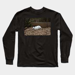 Rabbit Long Sleeve T-Shirt